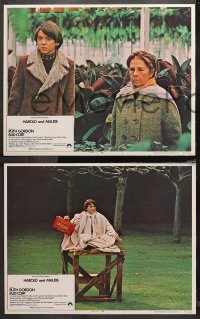 4r0472 HAROLD & MAUDE 5 LCs 1971 Ruth Gordon, Bud Cort is equipped to deal w/life!