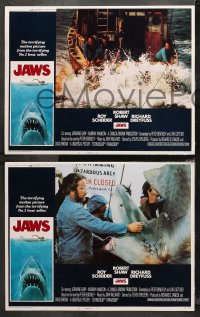 4r0478 JAWS 5 int'l LCs 1975 Roy Scheider, Robert Shaw, Richard Dreyfuss, Gary, Steven Spielberg!