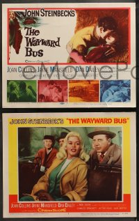 4r0353 WAYWARD BUS 8 LCs 1957 Dan Dailey & sexy Jayne Mansfield on bus, from John Steinbeck novel!