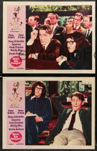 4r0635 WHAT'S NEW PUSSYCAT 3 LCs 1965 Peter O'Toole & Peter Sellers, Frazetta border art!