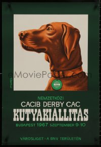 4s0337 NEMZETKOZI CACIB DERBY CAC KUTYAKIALLITAS 22x32 Hungarian special poster 1967 Mohrluder art!