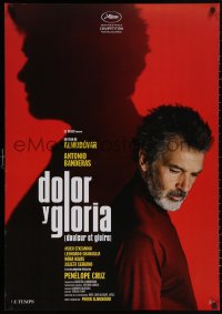 4s0429 PAIN & GLORY Swiss 2019 Pedro Almodovar's Dolor y Gloria, AA nominee Antonio Banderas!