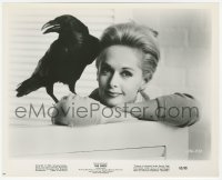 4w1011 BIRDS 8.25x10.25 still 1963 Hitchcock, posed portrait of Tippi Hedren with raven on shoulder!