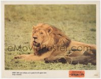 4w0361 AFRICAN LION LC 1955 lordly lion snarling, Walt Disney's True-Life adventure feature!