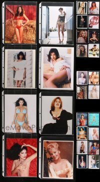 4x0971 LOT OF 44 COLOR 8X10 REPRO PHOTOS OF SEXY ACTRESSES IN SLEEVES 1980s-2000s lovely ladies!