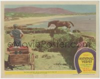 5a0274 NATIONAL VELVET LC #4 1944 Mickey Rooney & Elizabeth Taylor watch horse jump over wall!