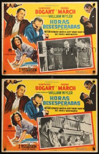 5c0473 DESPERATE HOURS 5 Mexican LCs 1955 Fredric March, Martha Scott, William Wyler, Bogart in border!