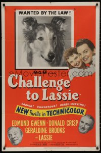 5d0182 CHALLENGE TO LASSIE 1sh 1949 classic canine Collie is wanted by the law, wacky image!
