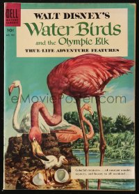 5g0554 WATER BIRDS & THE OLYMPIC ELK #700 comic book 1956 Disney True-Life, Dell Four Colors series!