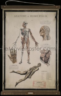 6a0207 SHAPE OF WATER 18x27 special poster 2017 anatomy chart of the Amphibian Man!