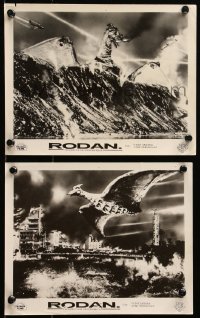 6h0001 RODAN 2 Colombian 8x10 stills 1957 Ishiro Honda, The Flying Monster over destruction!