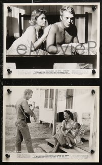 6r0077 BABY THE RAIN MUST FALL 22 8x10 stills 1965 great images of Steve McQueen & pretty Lee Remick!