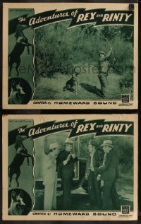 7k0903 ADVENTURES OF REX & RINTY 2 chapter 4 LCs 1935 serial about a horse and German Shepherd dog!