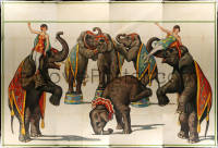 7x0054 UNKNOWN CIRCUS POSTER 106x155 circus poster 1930s art of elephants and circus act!