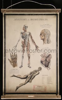 8d0004 SHAPE OF WATER 17x27 special poster 2017 anatomy chart of the Amphibian Man!