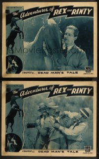 8g1135 ADVENTURES OF REX & RINTY 2 chapter 6 LCs 1935 serial about a horse and German Shepherd dog!