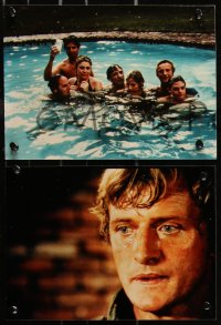 8w0015 OSTERMAN WEEKEND 34 color Dutch from 7.5x11 to 8x11 stills 1983 Sam Peckinpah, Hauer, Lancaster, Hurt, Hopper!
