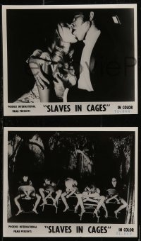 8w0012 SLAVES IN CAGES 8 8x10 stills 1972 Leif Betheas, Annelise Detts, Denmark, Captives!