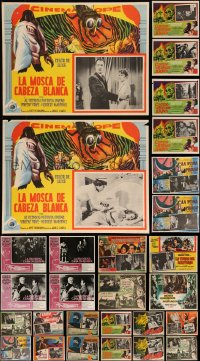 9x0043 LOT OF 34 MEXICAN LOBBY CARDS FROM VINCENT PRICE MOVIES 1960s-1970s great horror scenes!