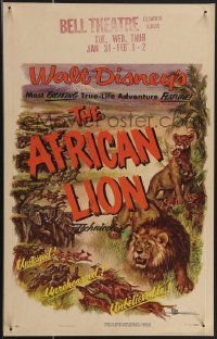 3t0142 AFRICAN LION WC 1955 Walt Disney jungle safari documentary, cool animal artwork!