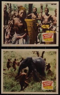 6b0626 DANGEROUS JOURNEY 7 LCs 1944 Africa & India, more startling than your strangest dreams!