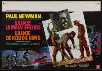 6c0205 COOL HAND LUKE Belgian 1967 Paul Newman prison escape classic, different Ray artwork!
