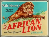 6c0014 AFRICAN LION British quad 1956 Walt Disney jungle safari documentary, different & ultra rare!