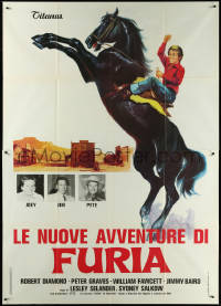 6f0193 LE NUOVE AVVENTURE DI FURIA Italian 2p 1977 rearing black stallion, different & ultra rare!
