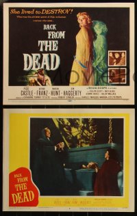 6f0539 BACK FROM THE DEAD 8 LCs 1957 Peggie Castle lived to destroy, cool sexy horror art & image!