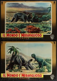 6g0376 ANIMAL WORLD 11 Italian 19x27 pbustas 1956 Allen, great animal images + dinosaurs!