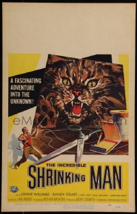6h0214 INCREDIBLE SHRINKING MAN WC 1957 sci-fi classic, Reynold Brown art of giant cat & tiny man!