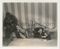 6j1318 AT THE CIRCUS 8x10 still 1939 Groucho, Chico & Harpo Marx fending off fake gorilla!
