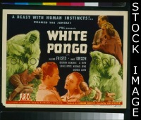 f038 WHITE PONGO title lobby card '45 Richard Fraser, Wrixon