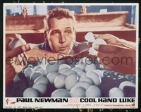2135 COOL HAND LUKE lobby card '67 Paul Newman egg eating scene!