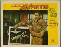 VHP7 335 DEADLY MANTIS lobby card #6 '57 Stevens w/photo of mantis!
