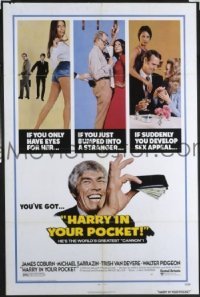 HARRY IN YOUR POCKET 1sheet
