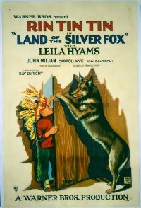224 LAND OF THE SILVER FOX 1sheet