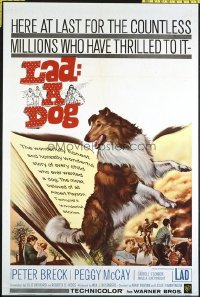1563 LAD A DOG one-sheet movie poster '61 wonderful Collie dog image!