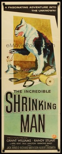 In Incredible Shrinking Man NZ03351 L