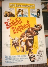 BASHFUL ELEPHANT 1sheet