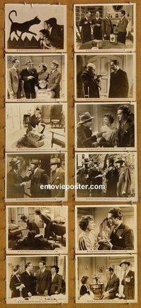 5823 CASE OF THE BLACK CAT 12 vintage 8x10 stills '36 Perry Mason!