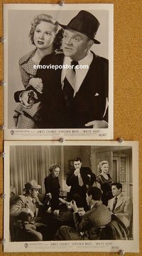 6343 WHITE HEAT 2 vintage 8x10 stills '49 James Cagney, Mayo