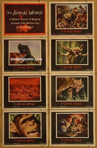 3612 ANIMAL WORLD 8 lobby cards '56 wild animals & dinosaurs!