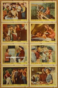 3833 SUNDOWNERS 8 lobby cards '61 Deborah Kerr, Robert Mitchum