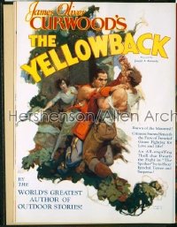 YELLOWBACK campaign book '29