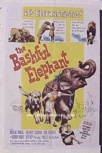 BASHFUL ELEPHANT 1sheet