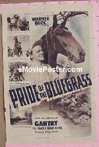 #563 PRIDE OF THE BLUEGRASS 1sh 39blind horse 