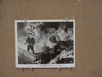 #234 BEAST FROM HAUNTED CAVE 8x10 '59 Forest 