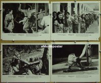 #529 BIG DOLL HOUSE 4 8x10s '71 Pam Grier 