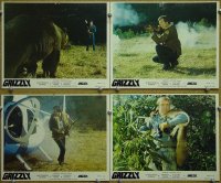 #290 GRIZZLY 4 color 8x10s 76 man-eating bear 